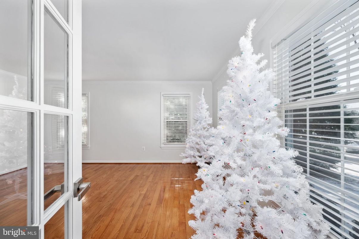 Chandelier, Interior, Wood Texture Flooring