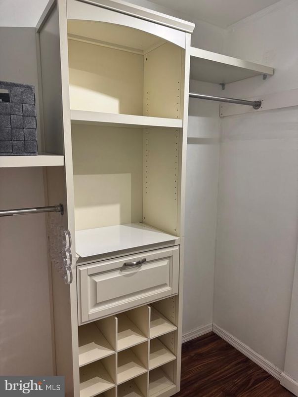 Interior, Walk-in Closets, Wood Texture Flooring