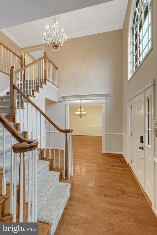 Chandelier, Interior, Wood Texture Flooring