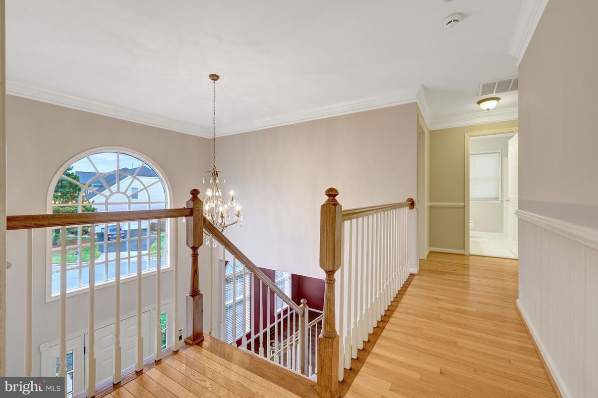 Chandelier, Interior, Wood Texture Flooring