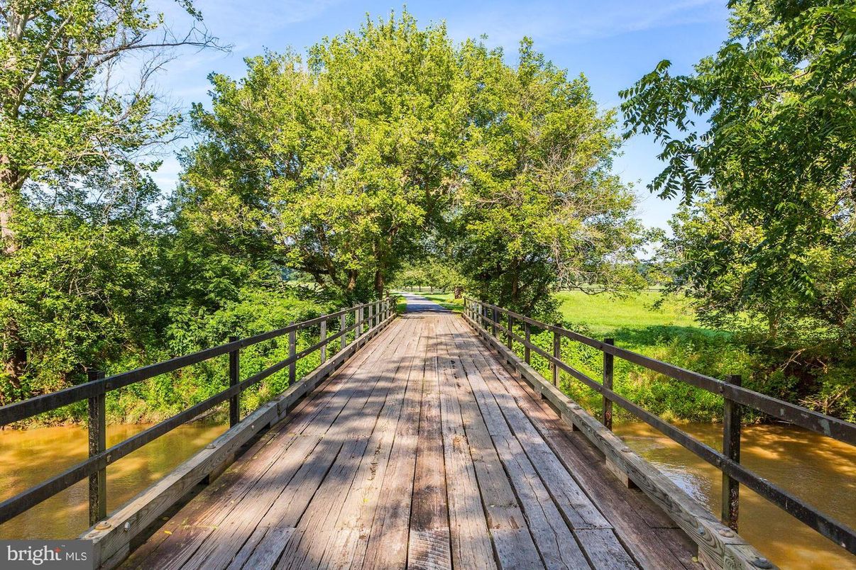 Exterior, Wood Texture Flooring