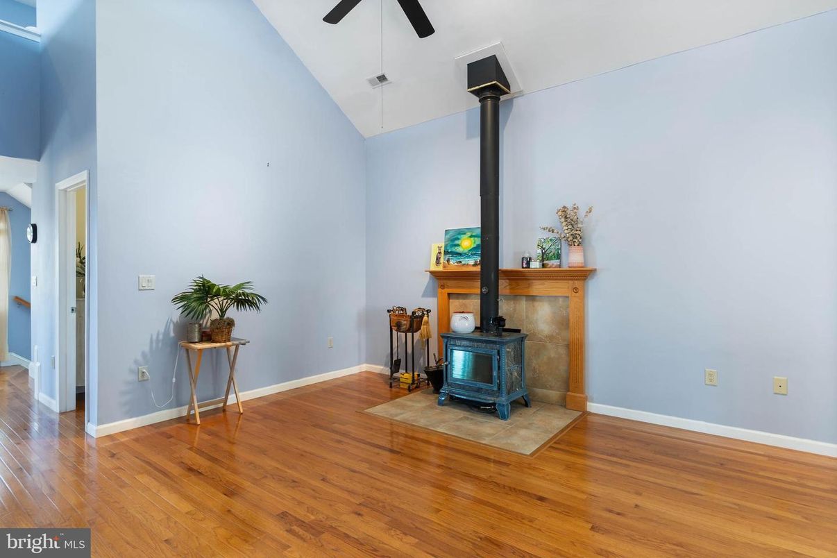 Fireplace, Interior, Wood Texture Flooring