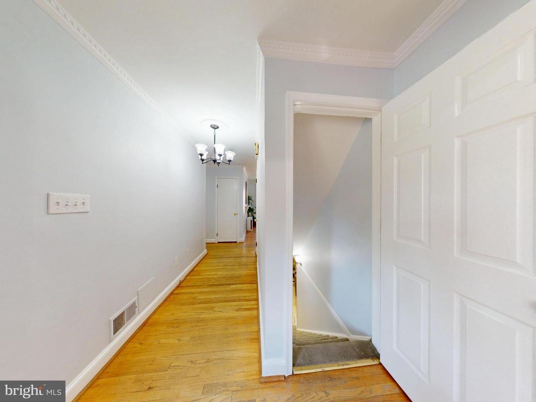 Chandelier, Interior, Wood Texture Flooring