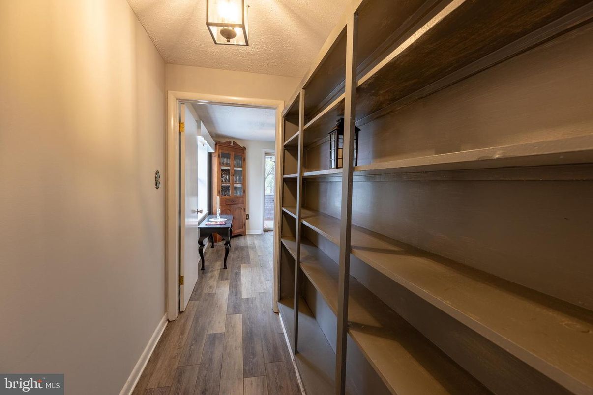 Interior, Walk-in Closets, Wood Texture Flooring