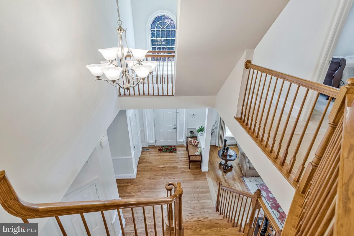 Chandelier, Interior, Wood Texture Flooring