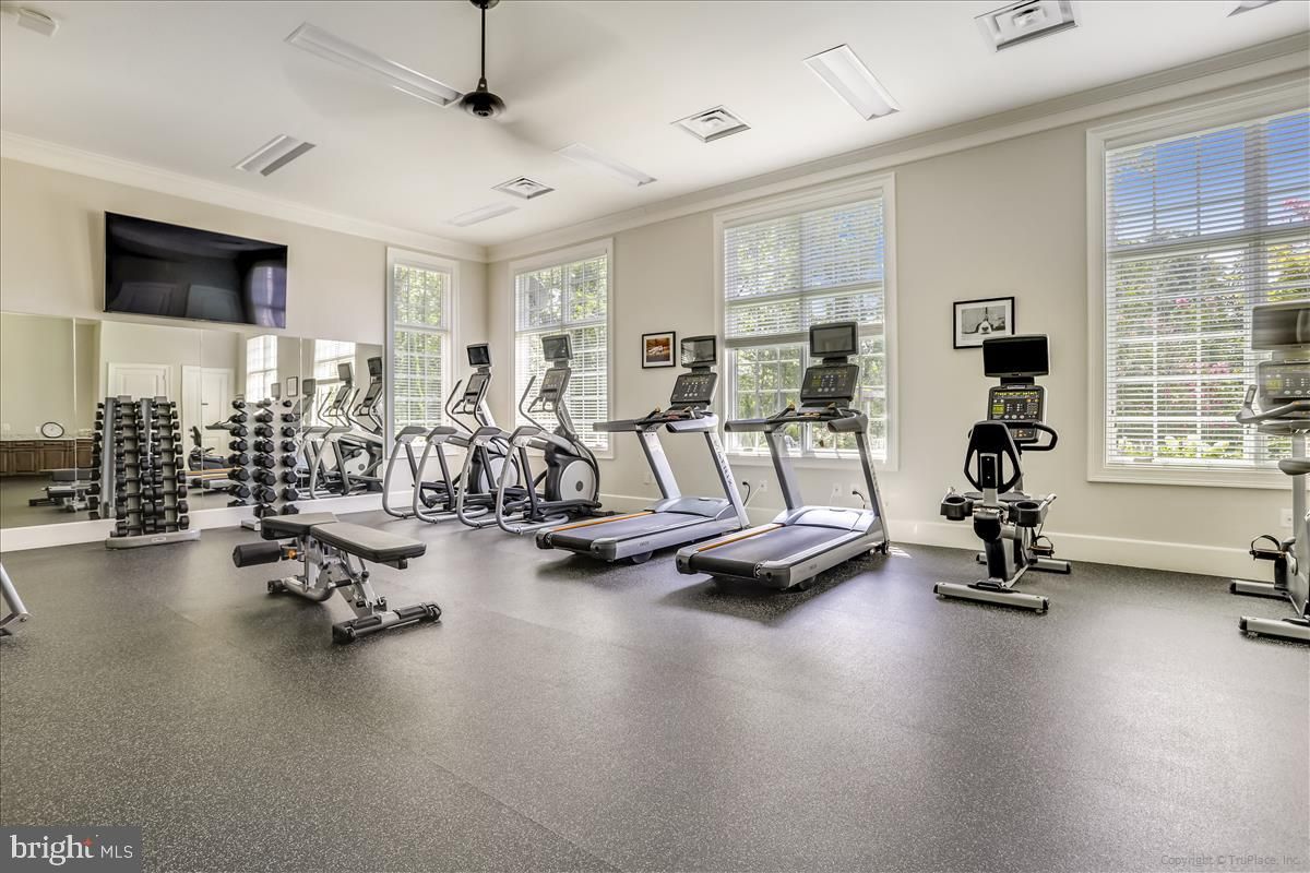 Fitness Equipment, Gym, Interior