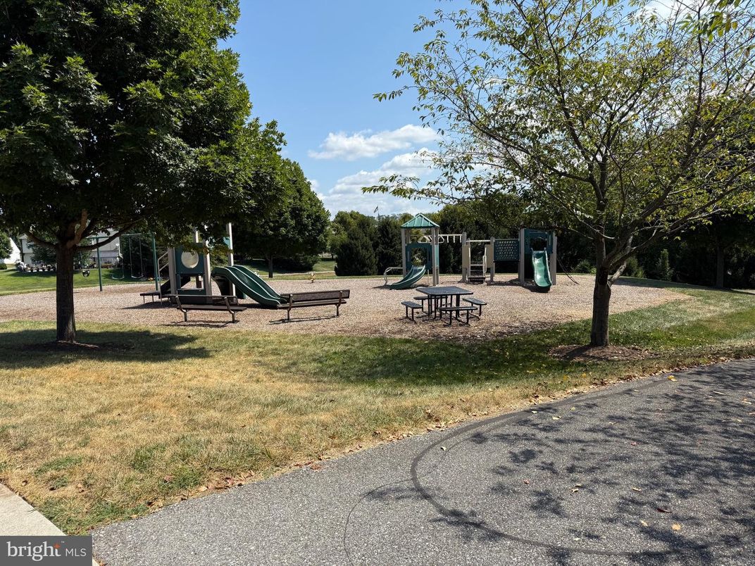 Backyard, Exterior, Playground