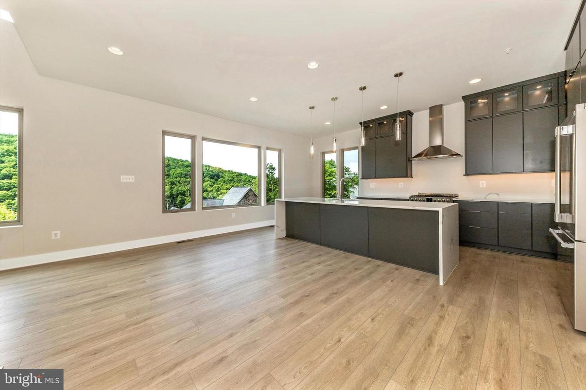 Interior, Kitchen, Pendant Lights, Recessed Lighting, Stainless Steel Appliances, Wood Texture Flooring