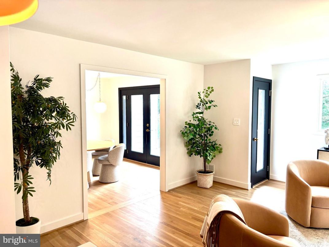 Interior, Wood Texture Flooring