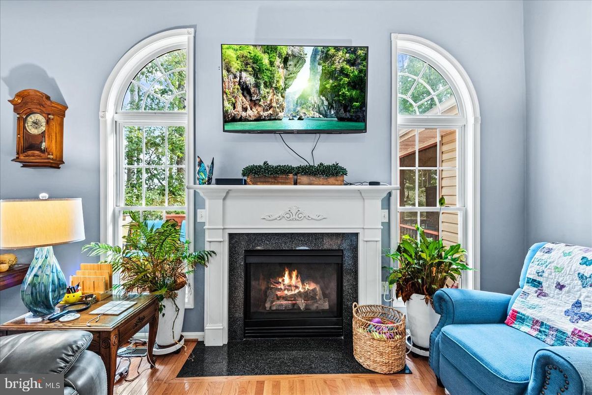 Fireplace, Interior, Wood Texture Flooring
