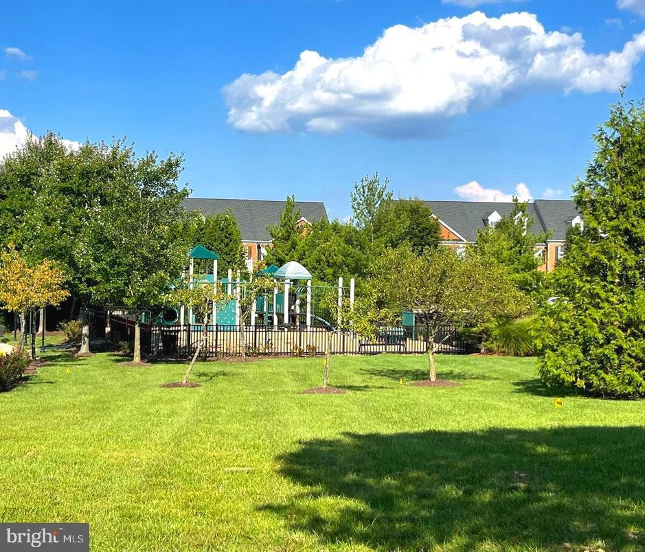 Backyard, Exterior, Playground