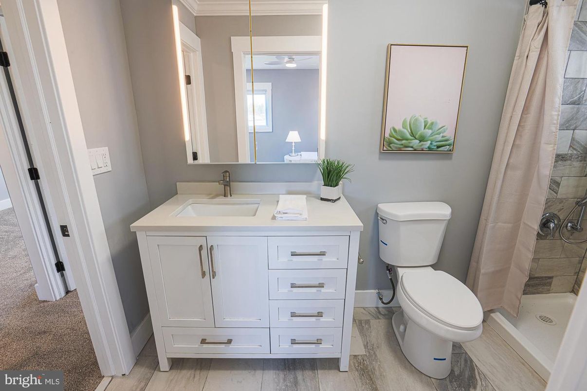 Bathroom, Interior, Wood Texture Flooring