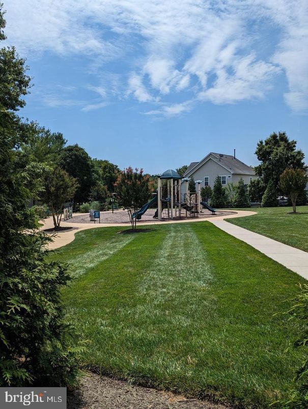 Backyard, Exterior, Playground