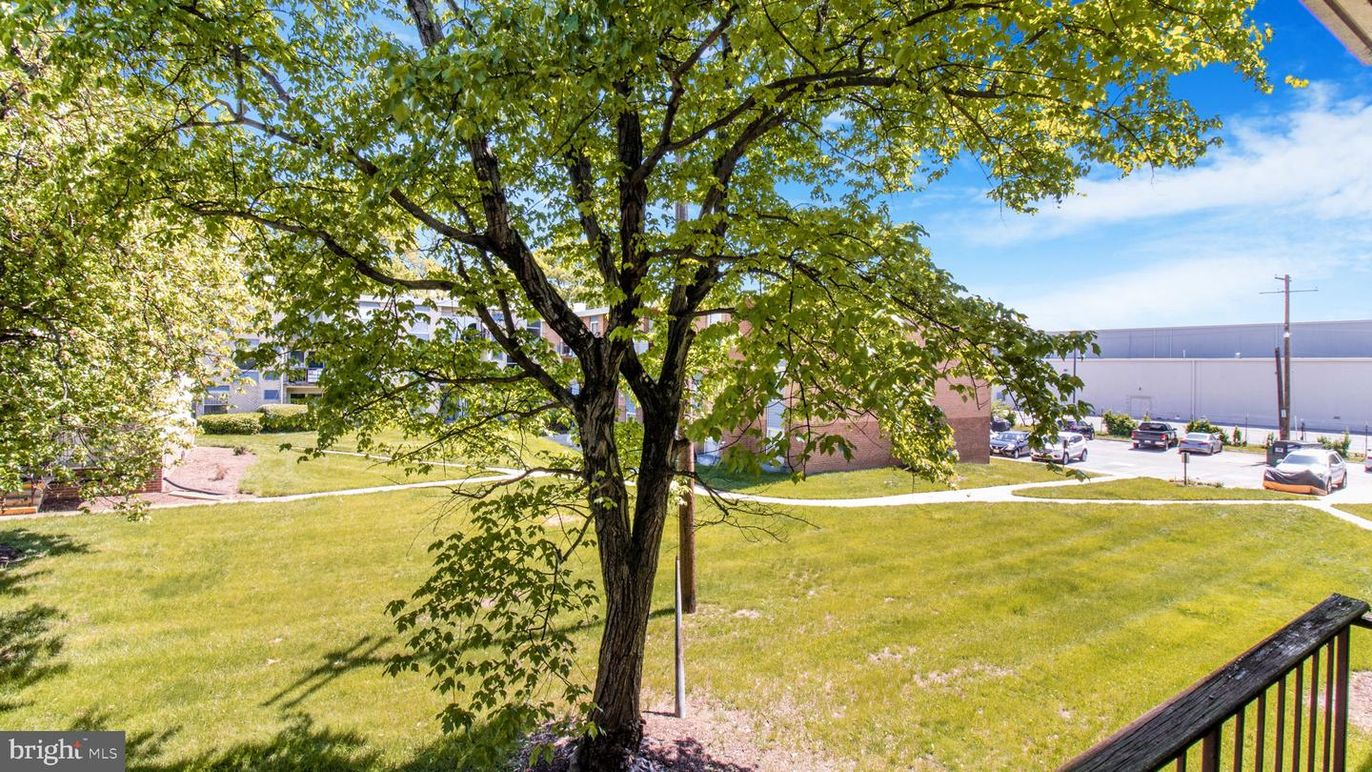 Backyard, Exterior, Water