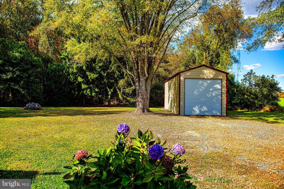 Backyard, Detached Garage, Exterior