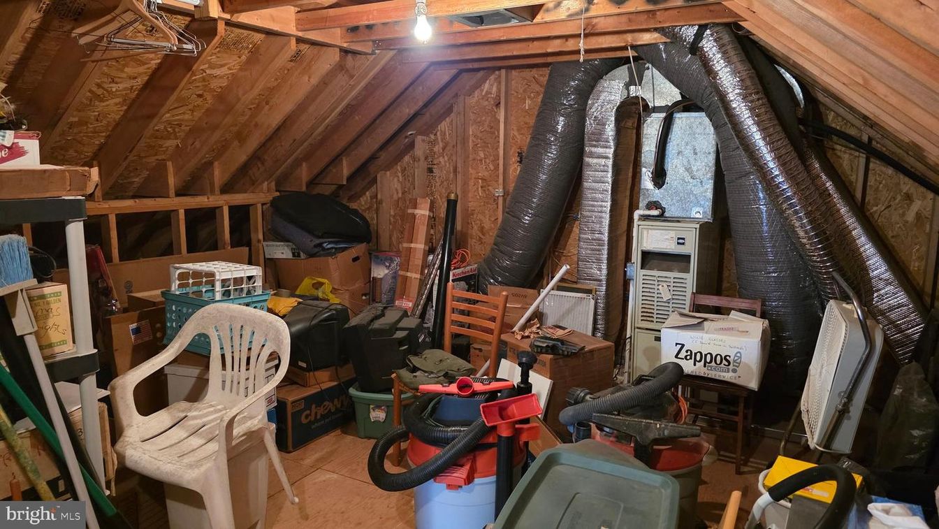 Interior, Wooden Ceilings