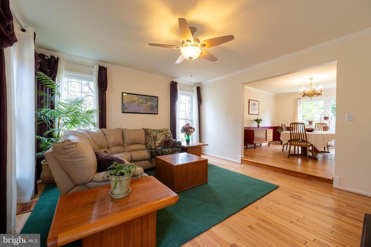 Chandelier, Dining room, Interior, Living room, Wood Texture Flooring