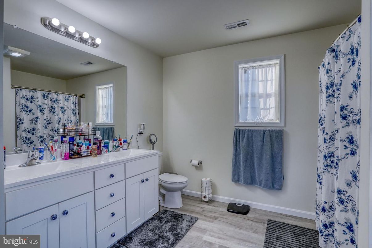 Bathroom, Dual Sink Vanities, Interior, Wood Texture Flooring