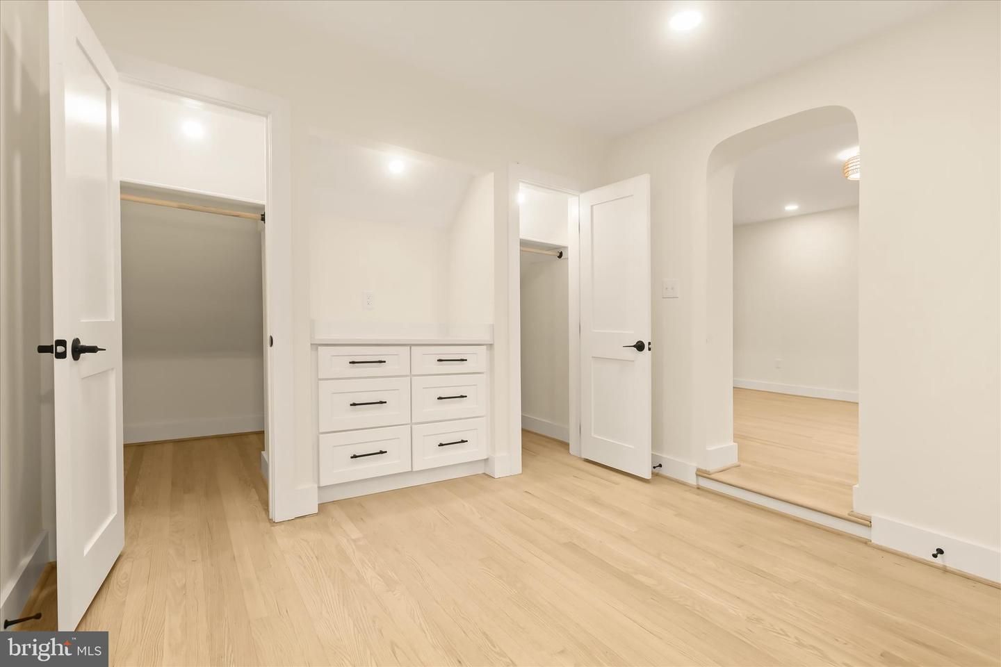 Interior, Recessed Lighting, Walk-in Closets, Wood Texture Flooring