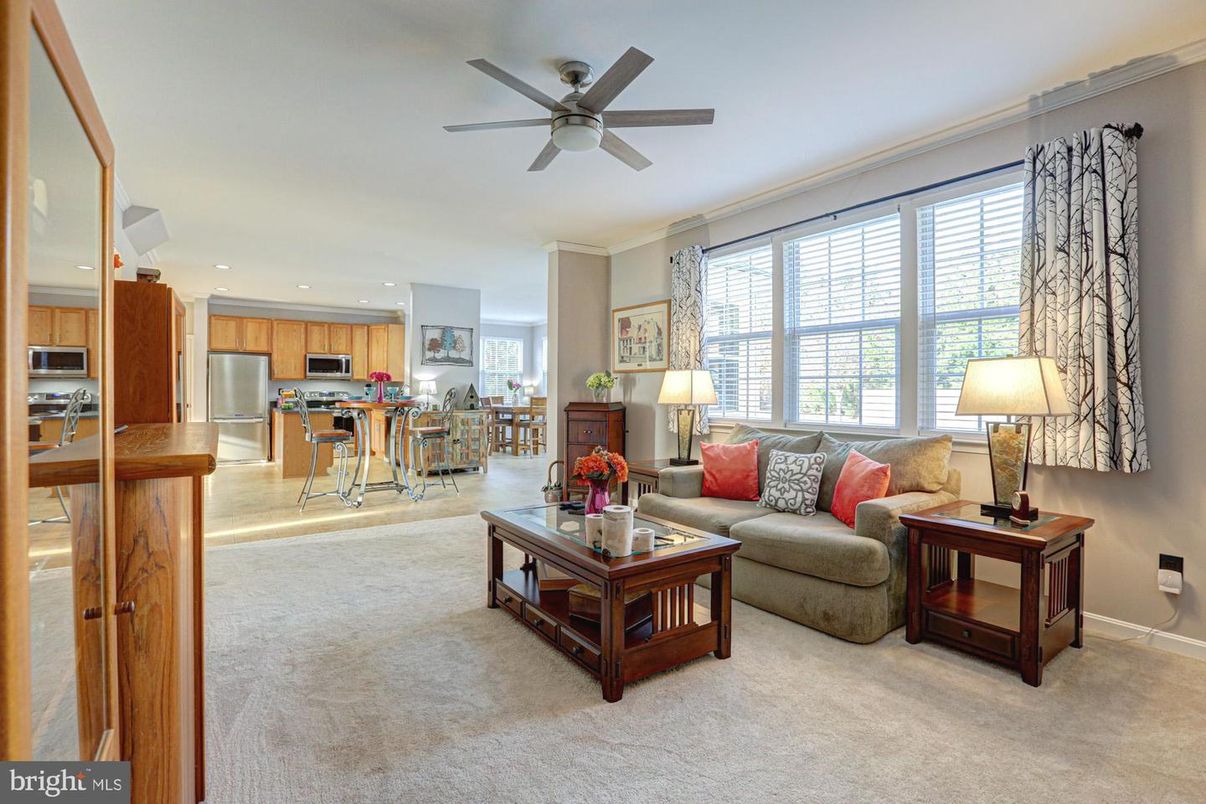 Interior, Kitchen, Living room, Recessed Lighting, Stainless Steel Appliances