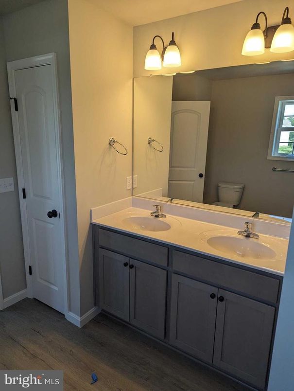 Bathroom, Dual Sink Vanities, Interior, Wood Texture Flooring