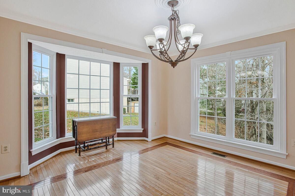 Chandelier, Interior, Wood Texture Flooring