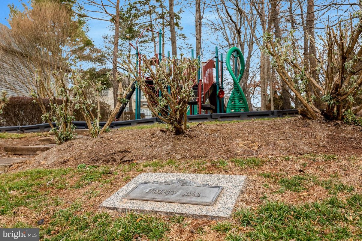 Backyard, Exterior, Playground