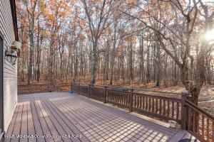 Exterior, Wood Texture Flooring