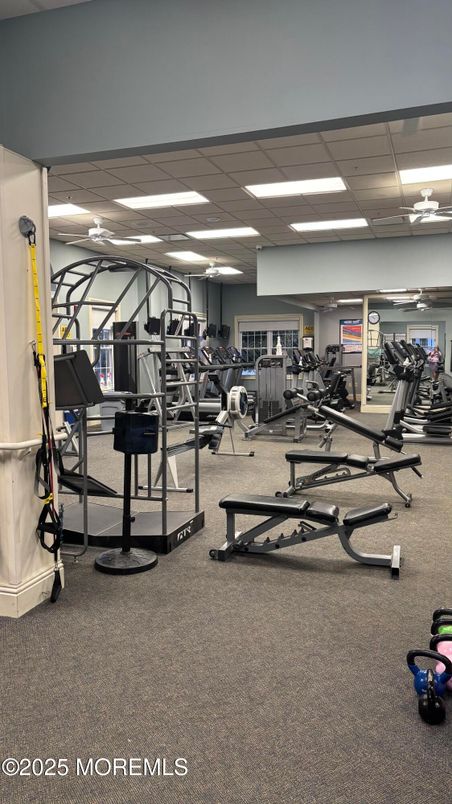 Fitness Equipment, Gym, Interior, Recessed Lighting
