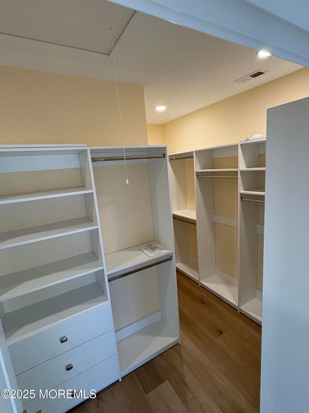 Interior, Recessed Lighting, Walk-in Closets, Wood Texture Flooring