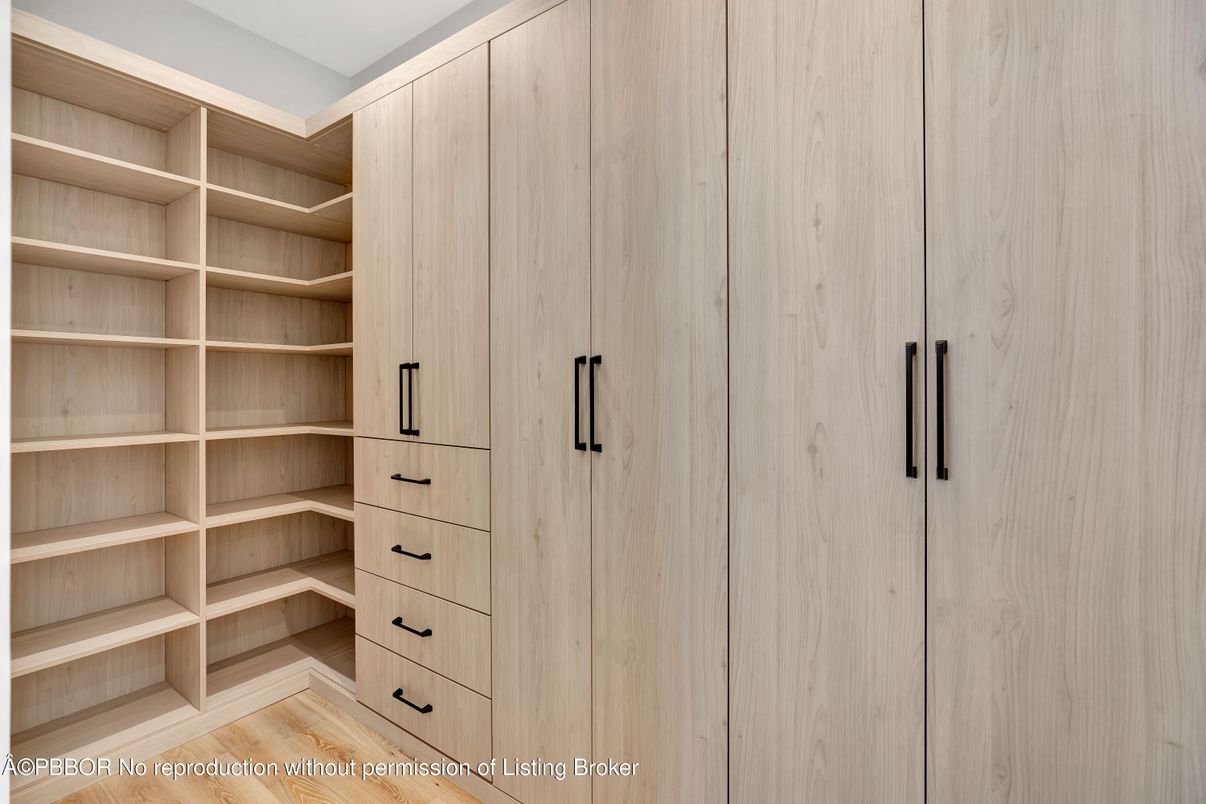 Interior, Walk-in Closets, Wood Texture Flooring