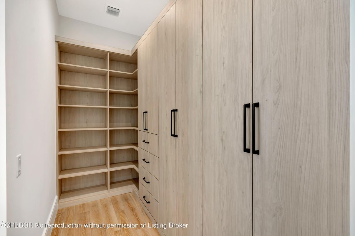 Interior, Walk-in Closets, Wood Texture Flooring