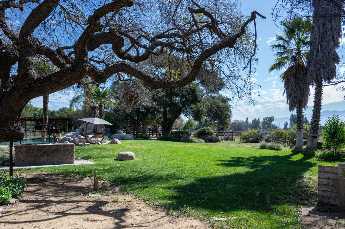 Backyard, Exterior, Playground