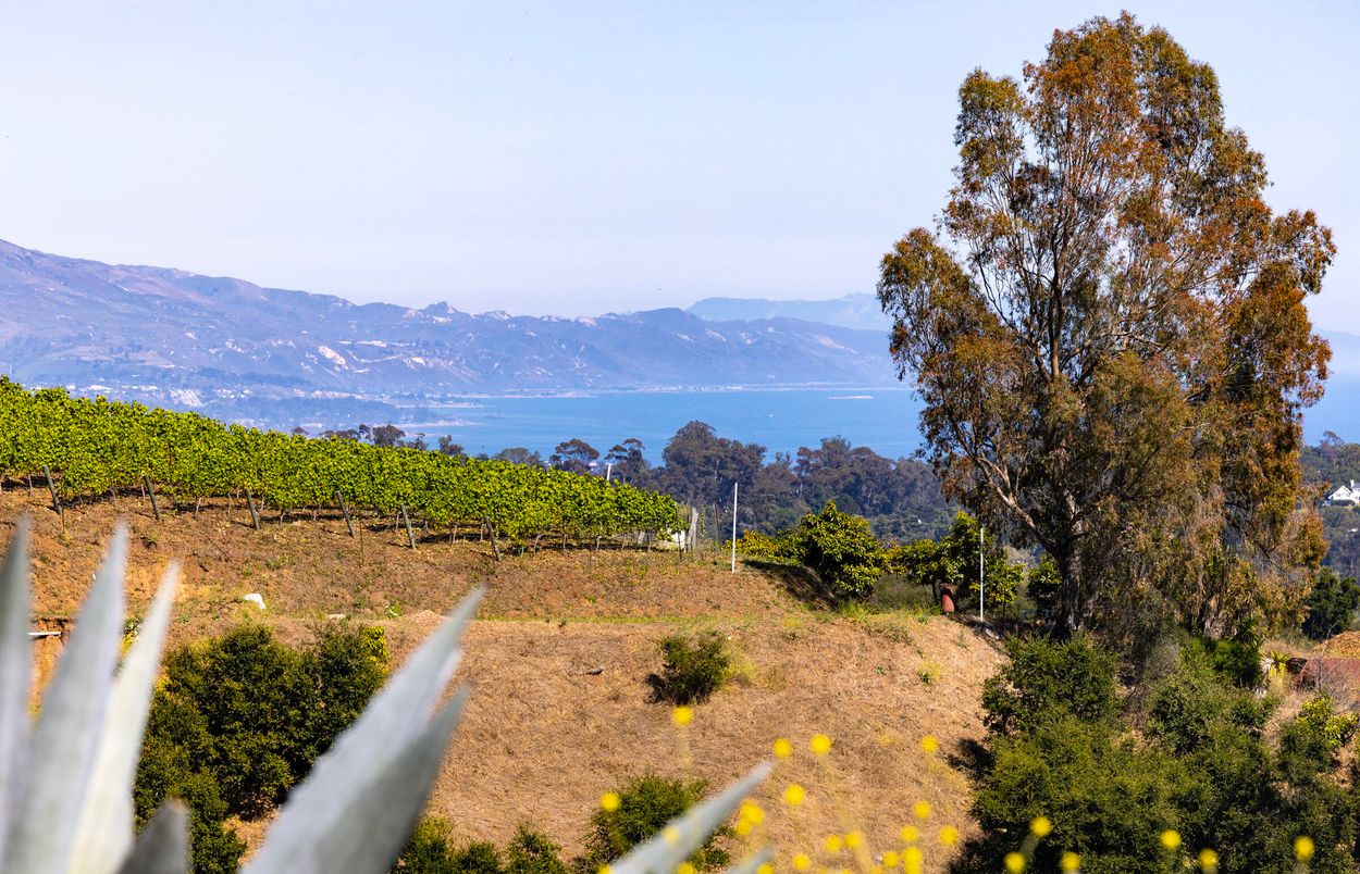 Water, Exterior, Other