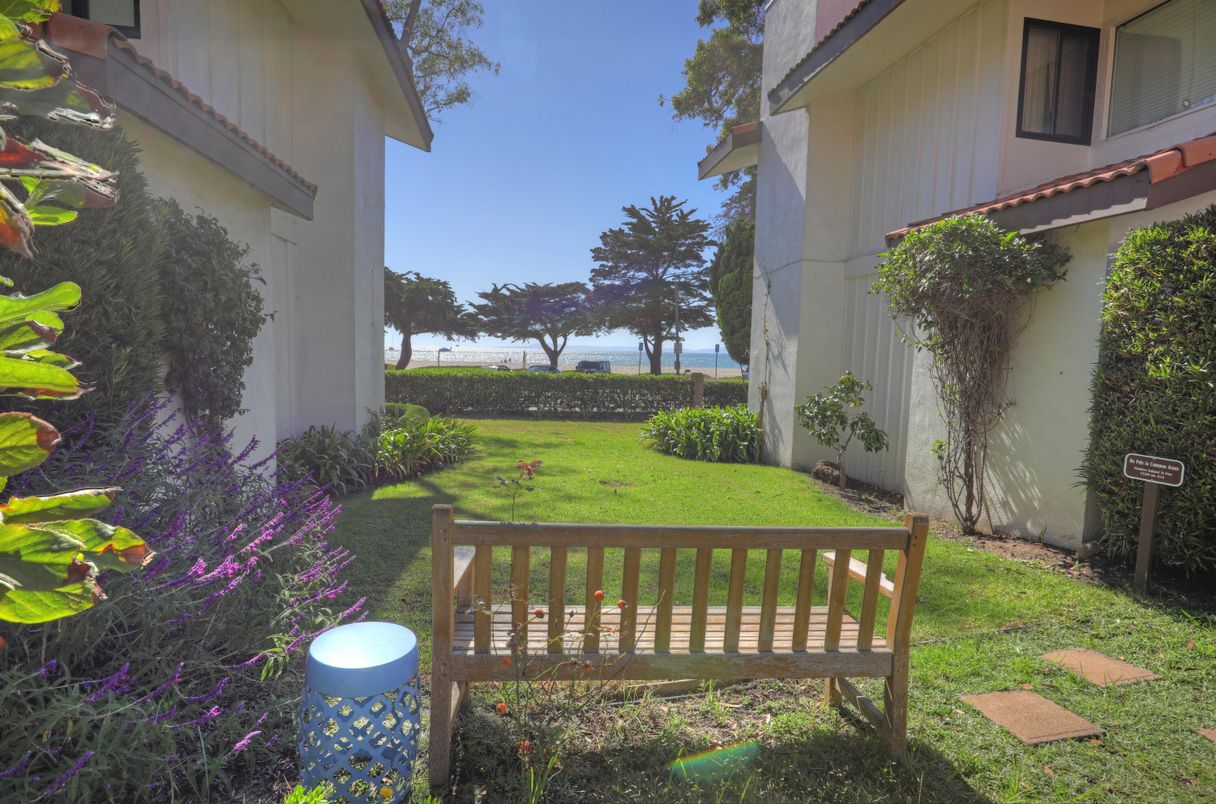 Backyard, Exterior, Water