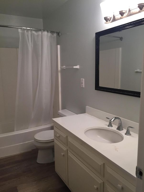 Bathroom, Interior, Wood Texture Flooring