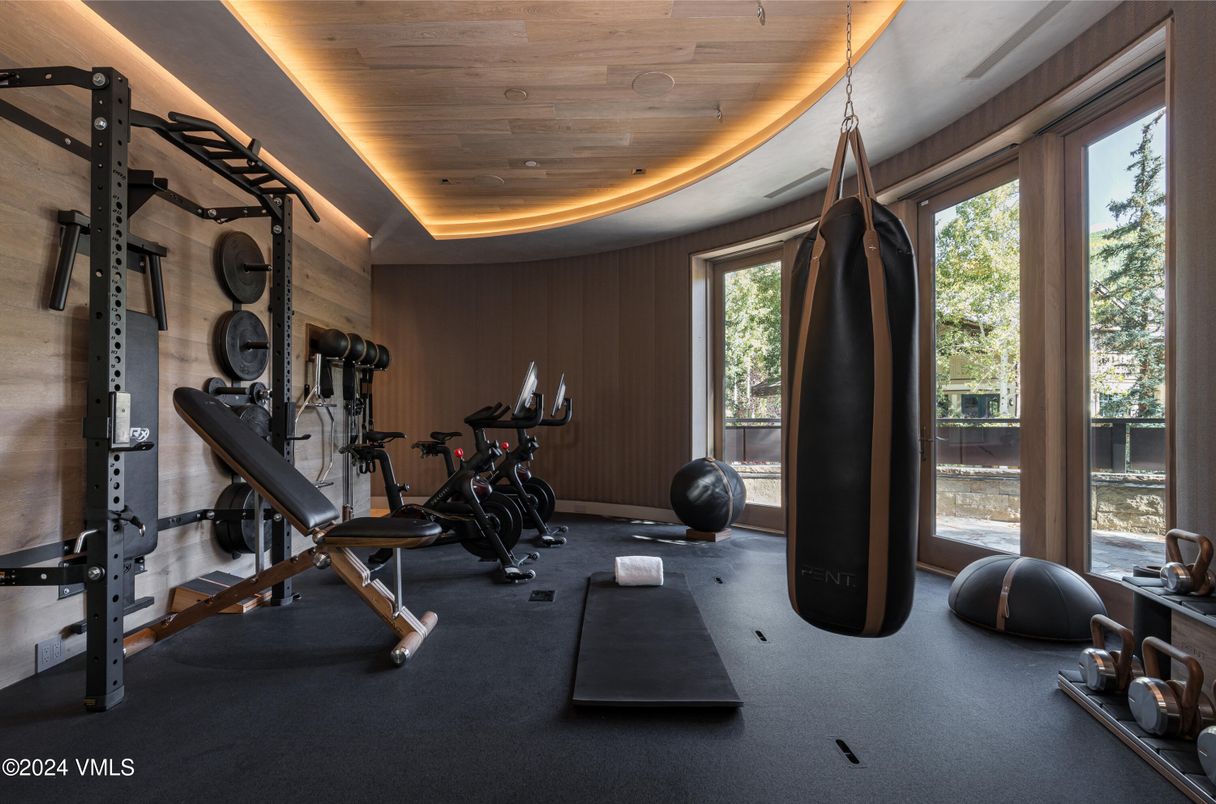 Fitness Equipment, Interior, Recessed Lighting, Wooden Ceilings