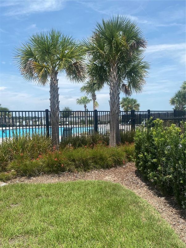 Backyard, Exterior, Pool