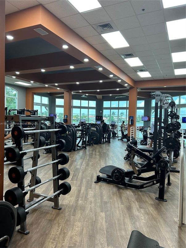 Fitness Equipment, Gym, Interior, Recessed Lighting, Wood Texture Flooring