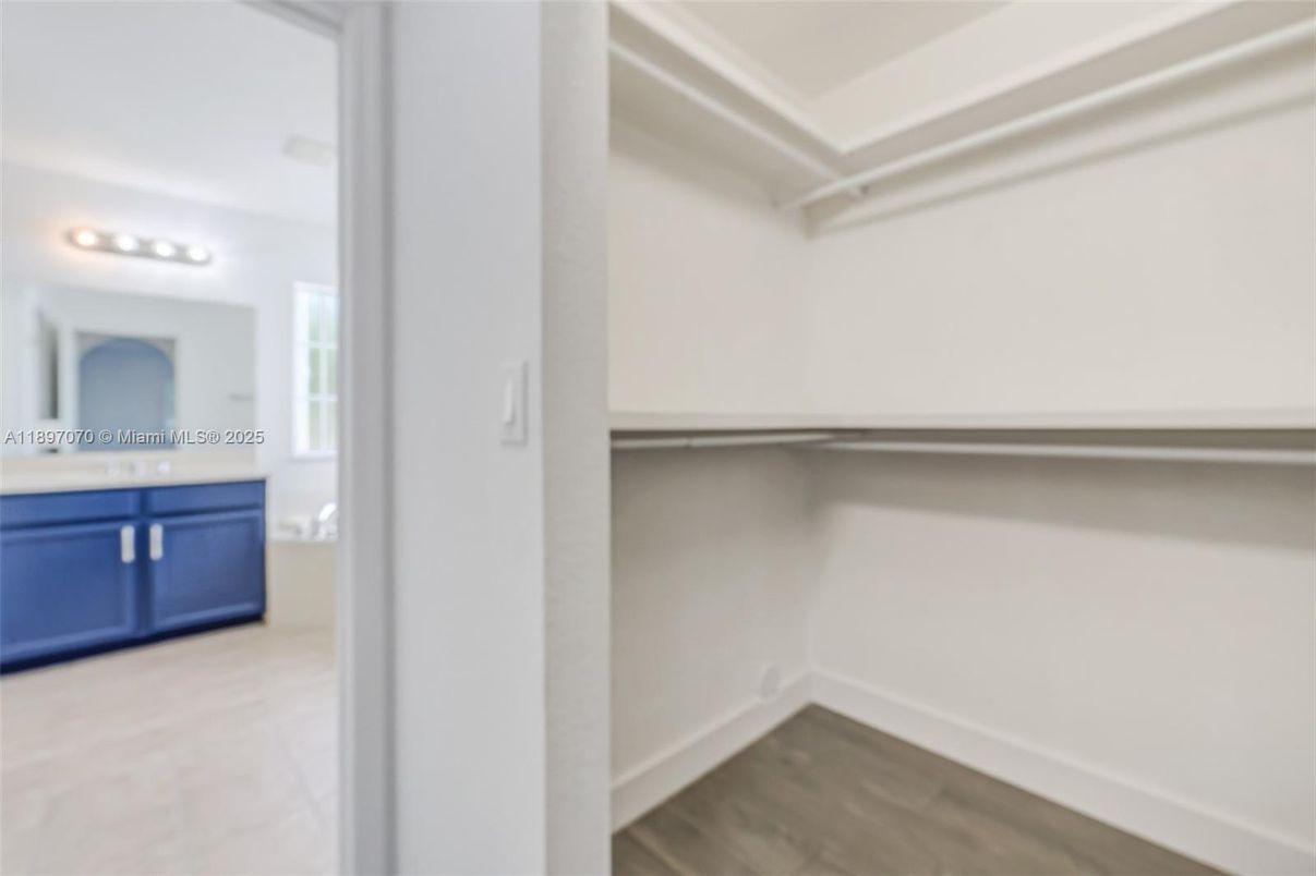 Interior, Walk-in Closets, Wood Texture Flooring