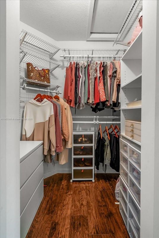 Interior, Walk-in Closets, Wood Texture Flooring