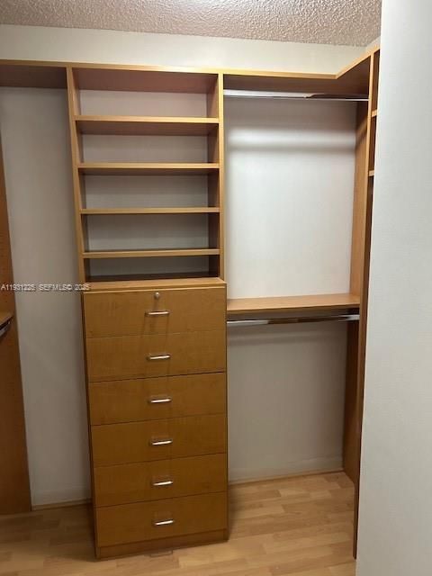 Interior, Walk-in Closets, Wood Texture Flooring