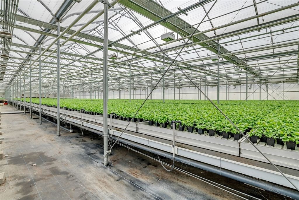 Glass Ceilings, Interior, Sun Room