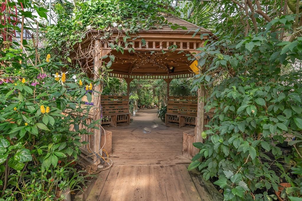 Exterior, Wood Texture Flooring