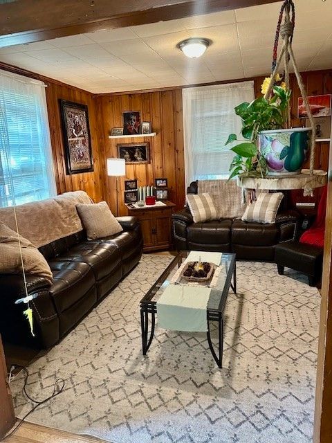 Interior, Living room, Wooden Walls