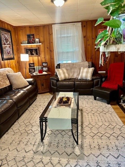 Interior, Living room, Wood Texture Flooring, Wooden Walls