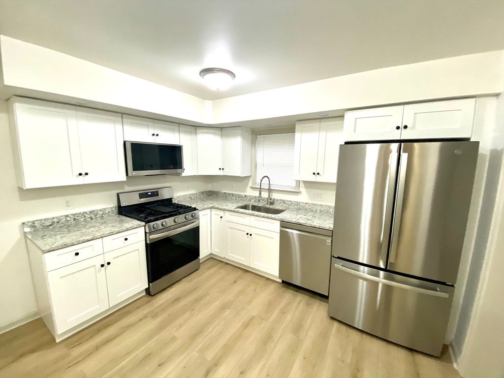 Interior, Kitchen, Stainless Steel Appliances, Wood Texture Flooring