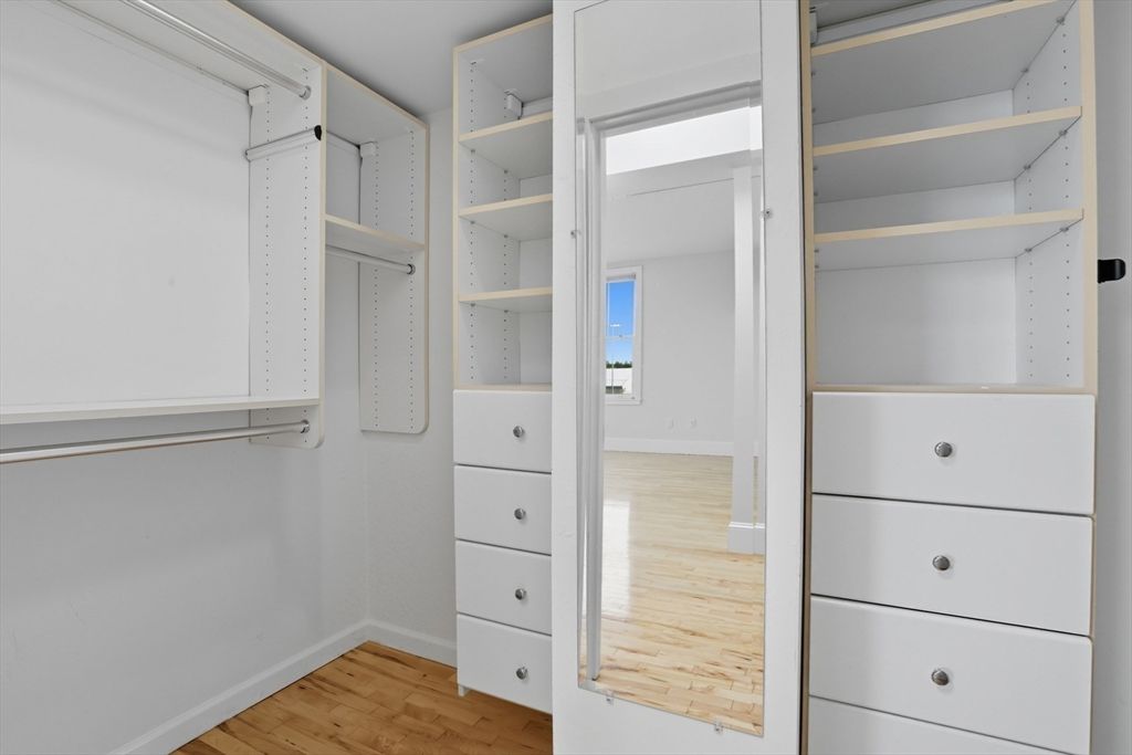 Interior, Walk-in Closets, Wood Texture Flooring