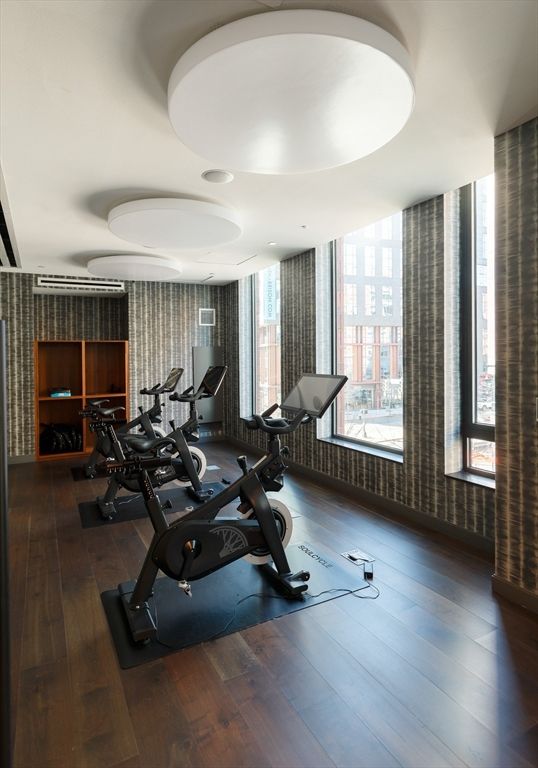 Fitness Equipment, Interior, Wood Texture Flooring