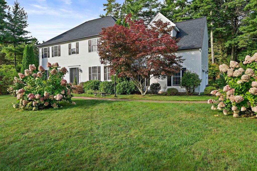 Backyard, Exterior, Facade, Georgian